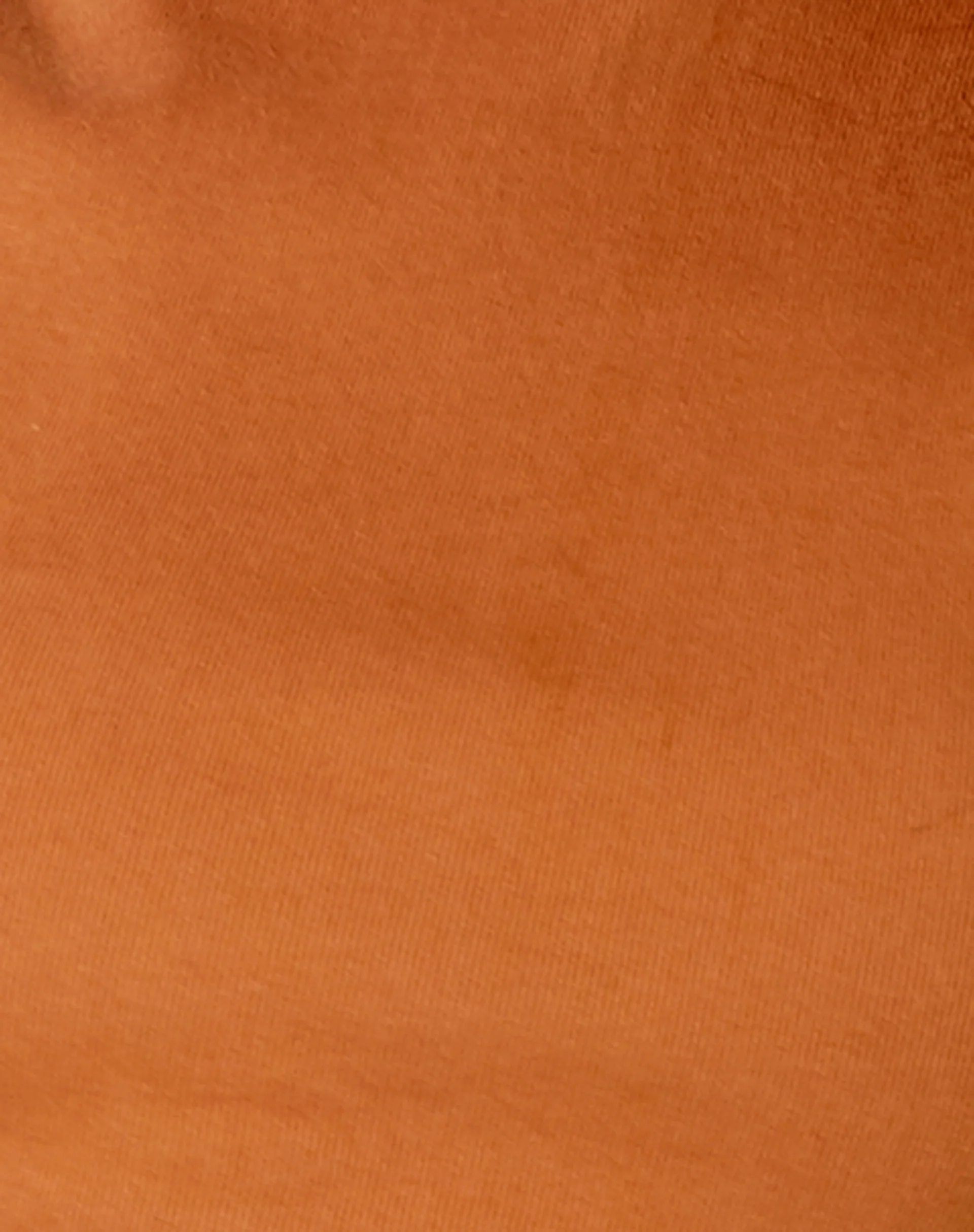 Quera Crop Top in Rib Salted Caramel - Image 5