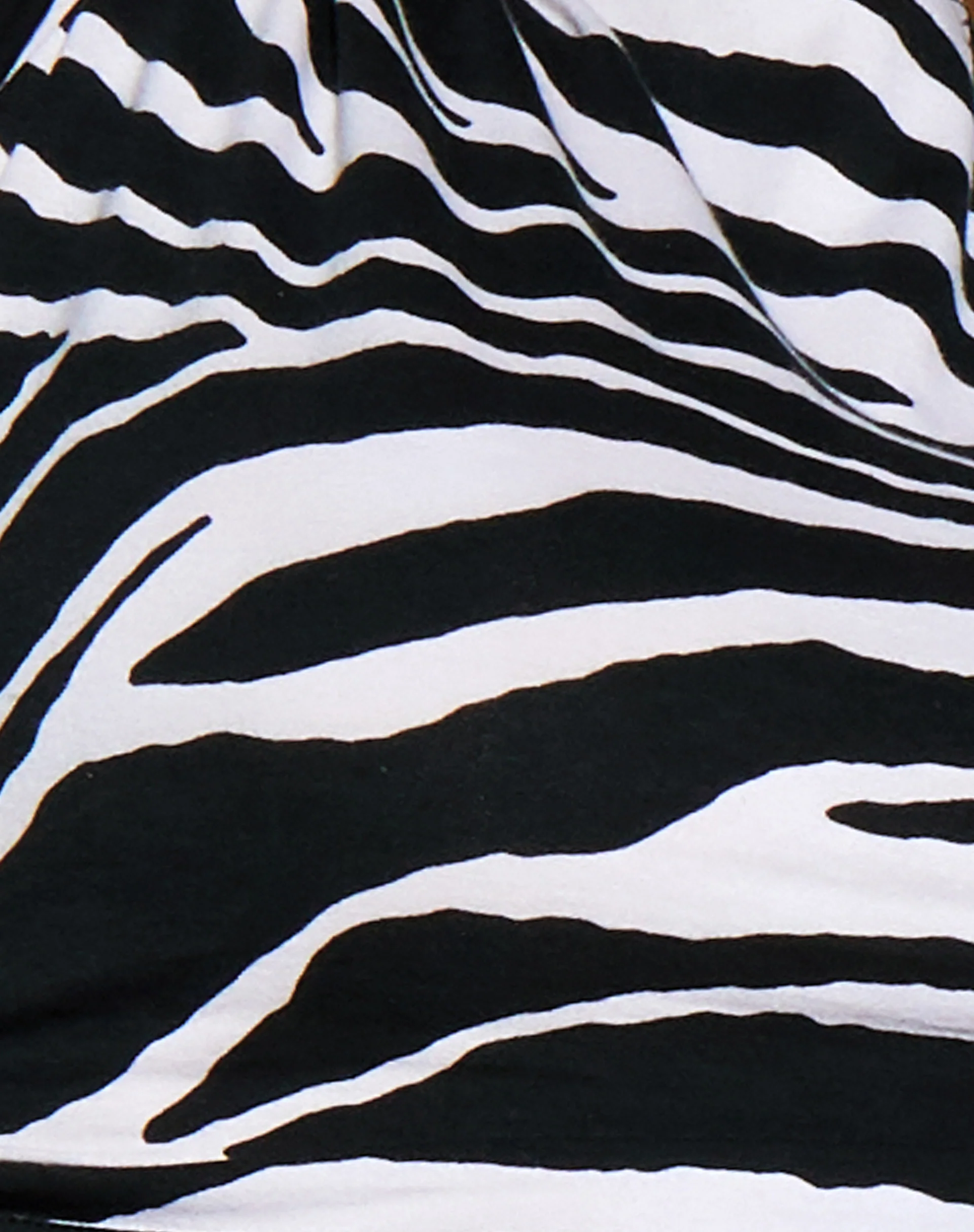 Razelo Crop Top in Huge Zebra - Image 8