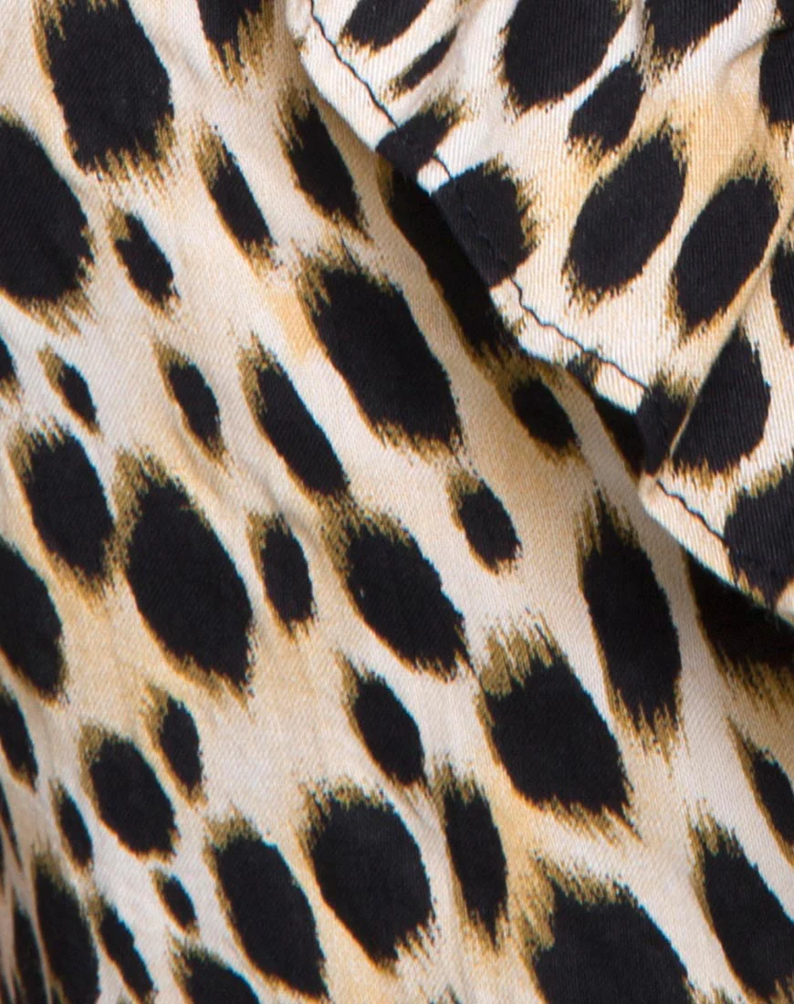 Rica Skater Dress in Cheetah - Image 5