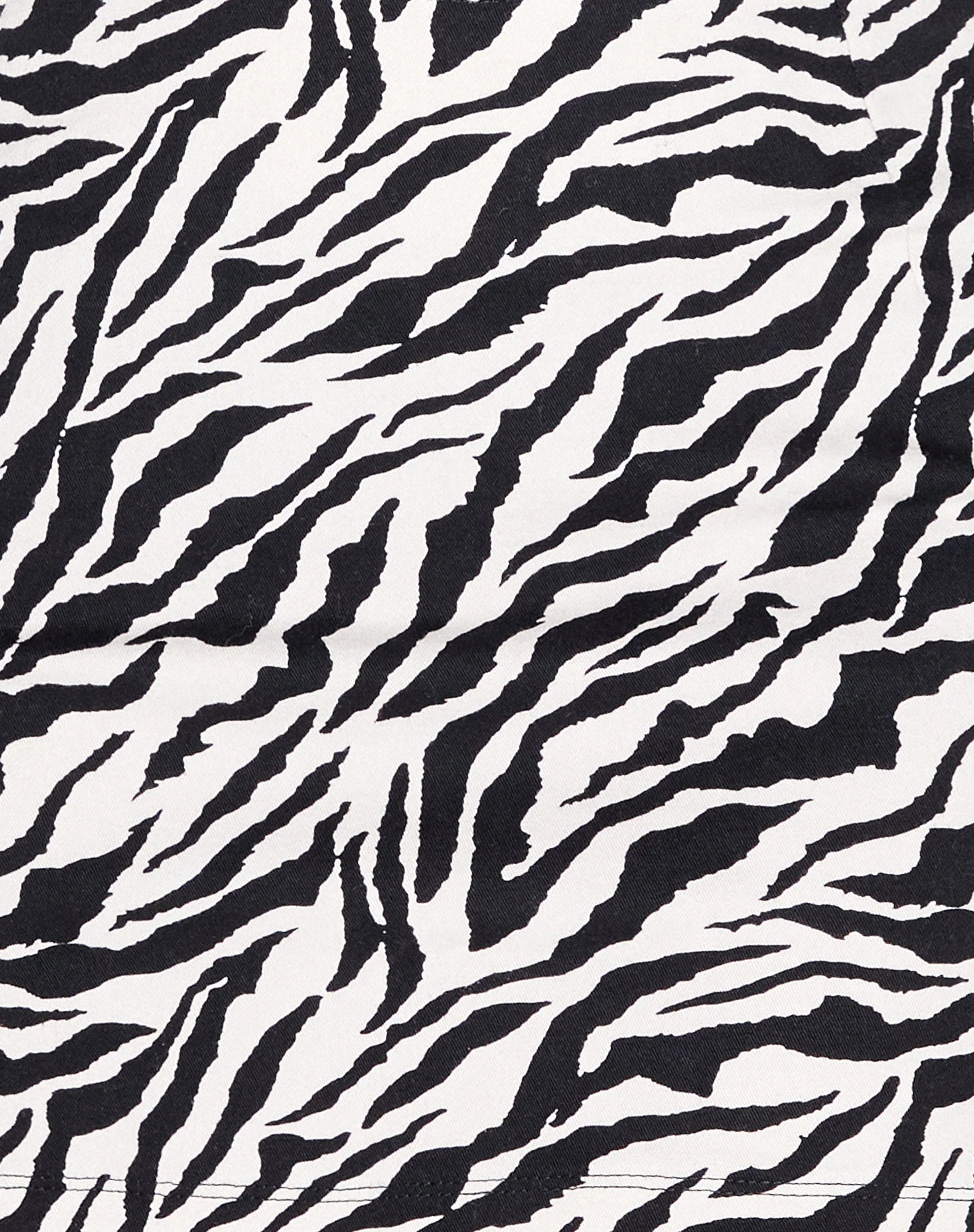 Ruix Long Sleeve Top in 90's Zebra - Image 7