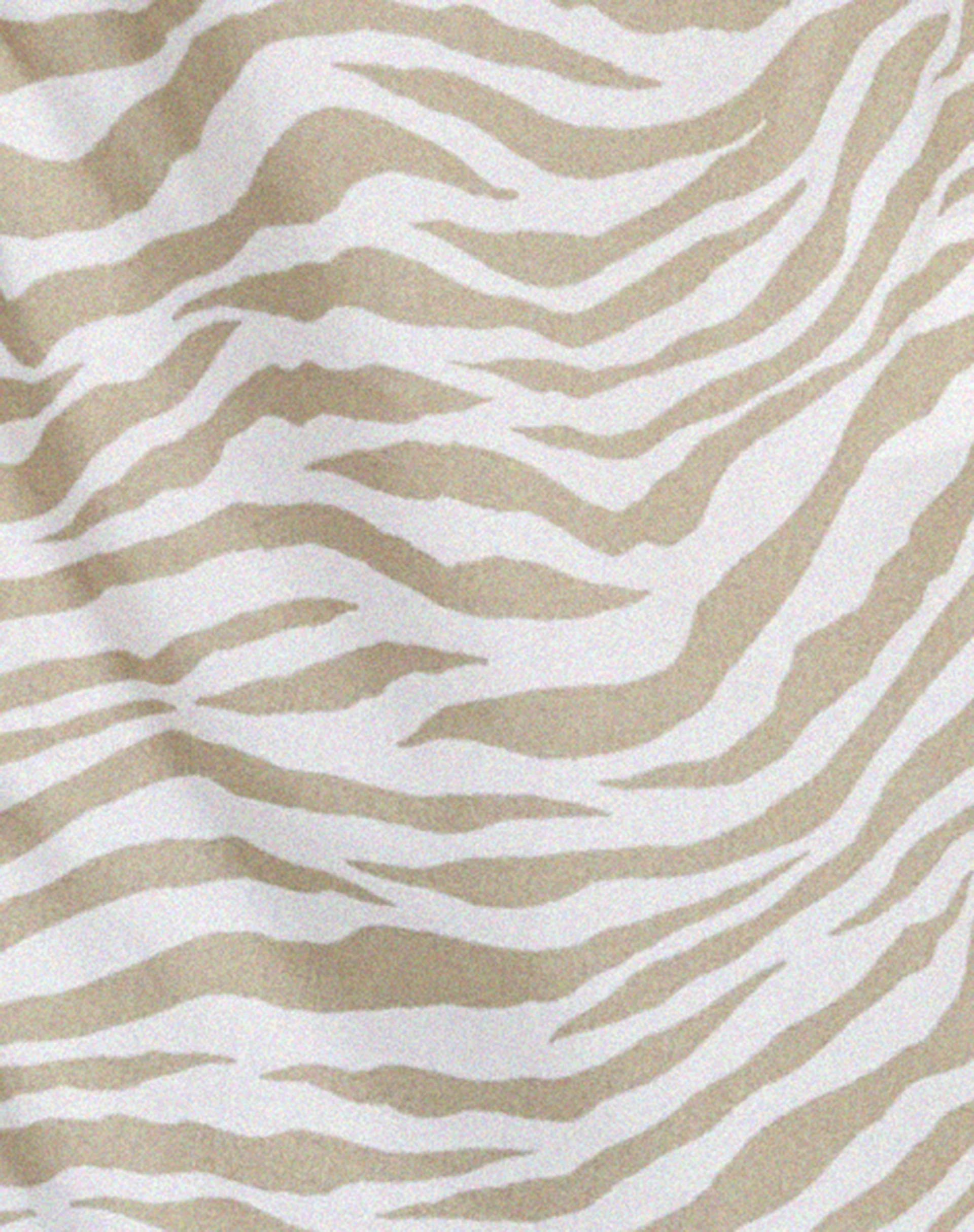 Ruixa Top in Tonal Zebra - Image 5