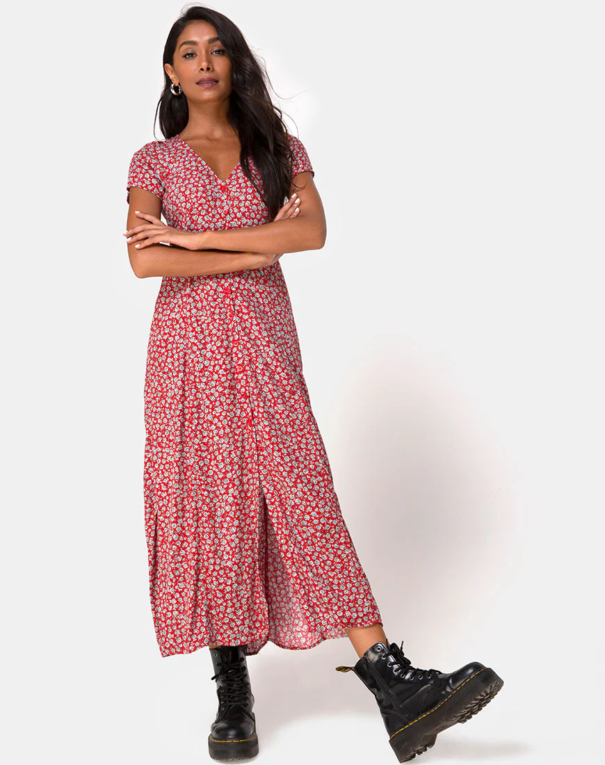 Sanrin Dress in Ditsy Rose Red Silver