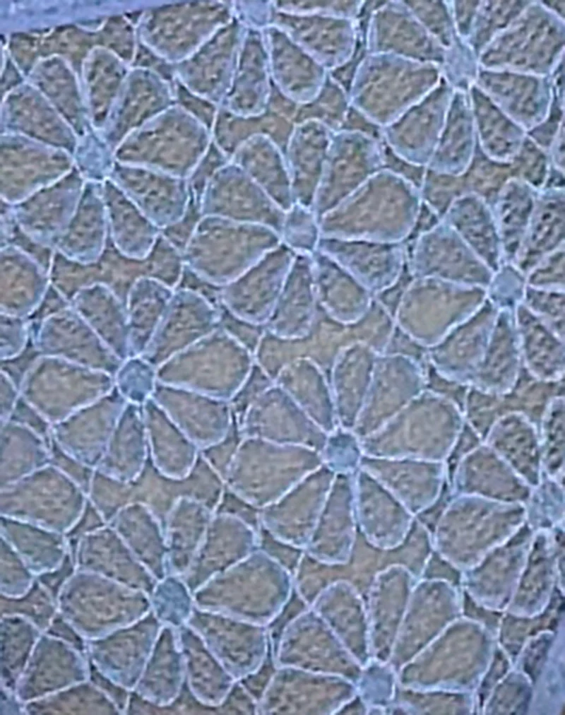 Sarpa Knicker in Floral Lace Blue - Image 7
