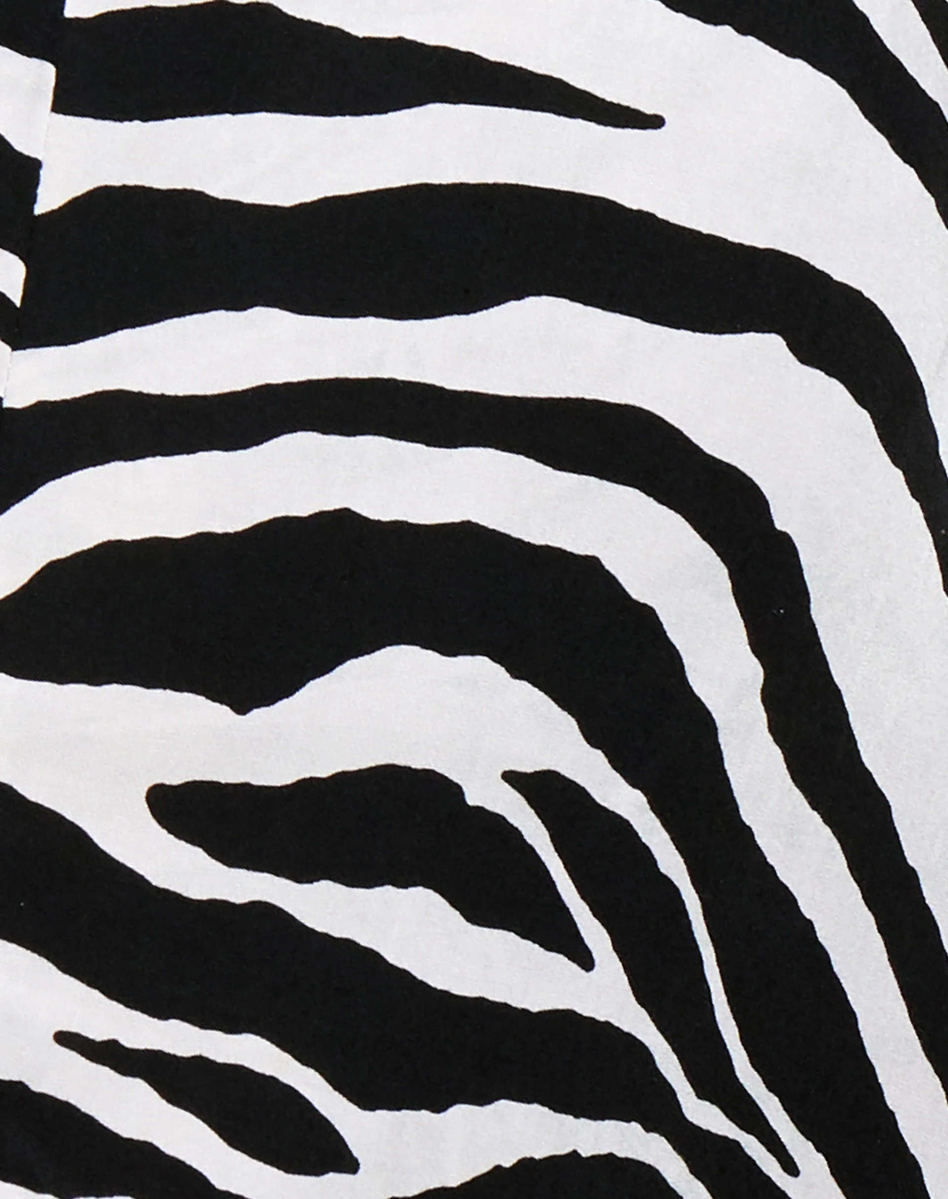 Shenka Mini Skirt in Huge Zebra - Image 8
