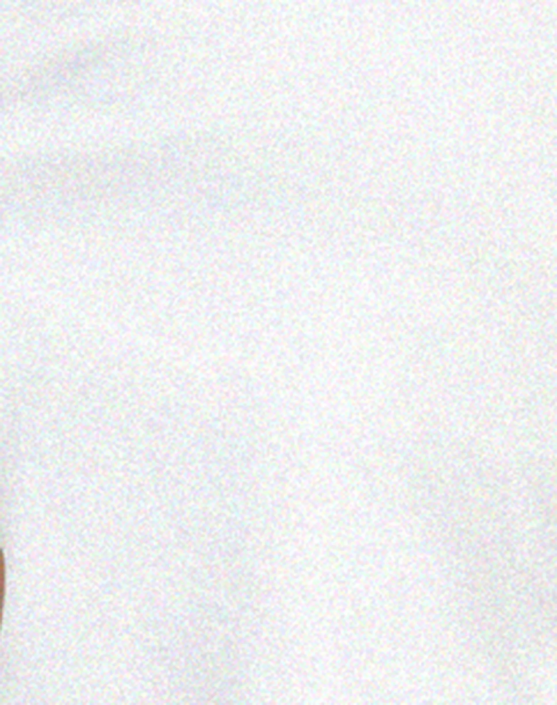 Shima Crop Top in White - Image 6