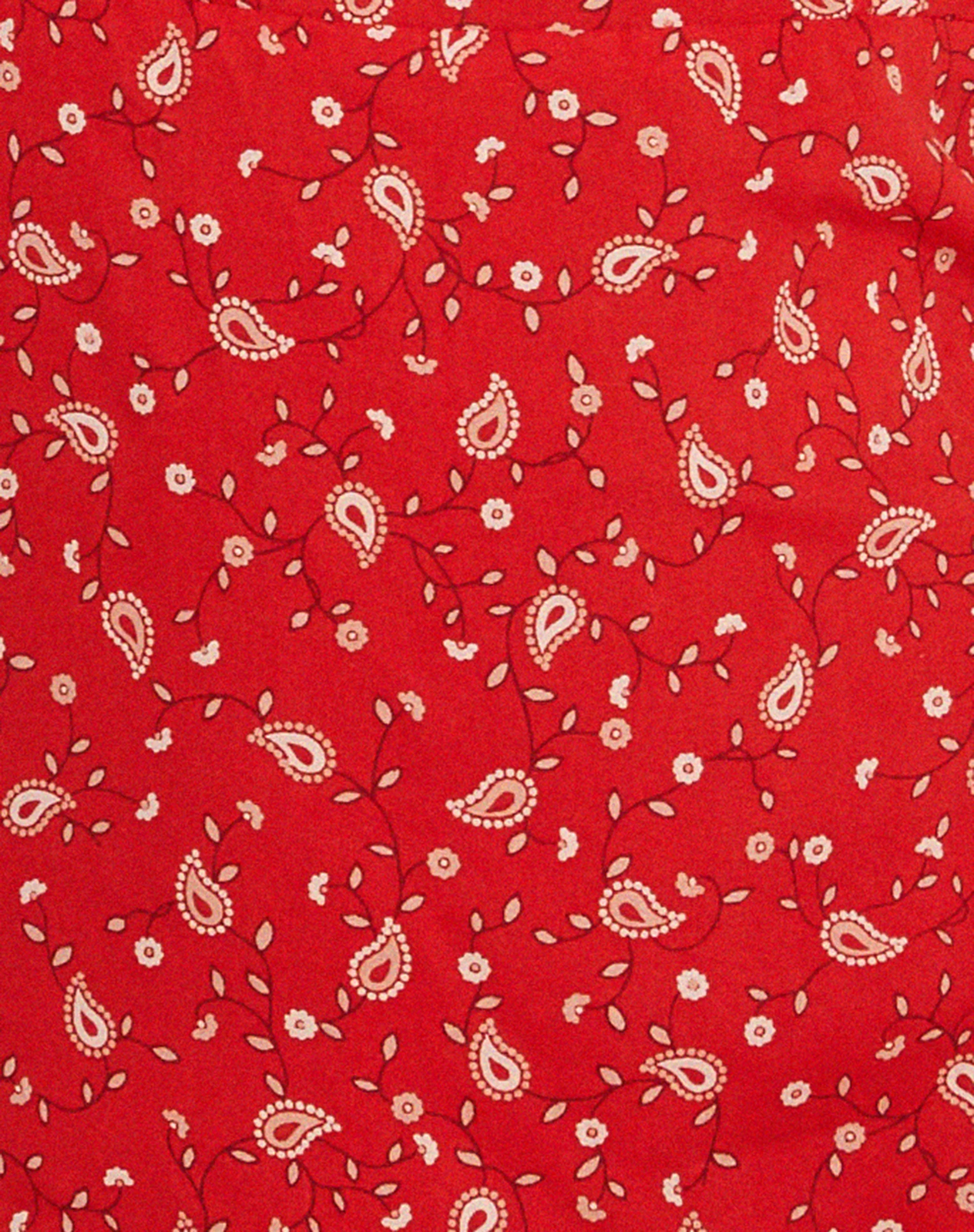 Stoira Mini Dress in Paisley Fun Red - Image 7