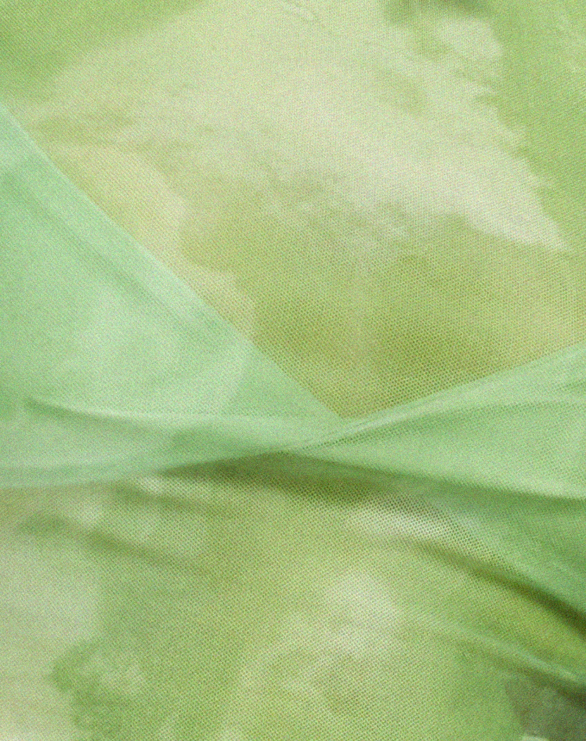 Tiney Crop Top in Watercolour Green - Image 7