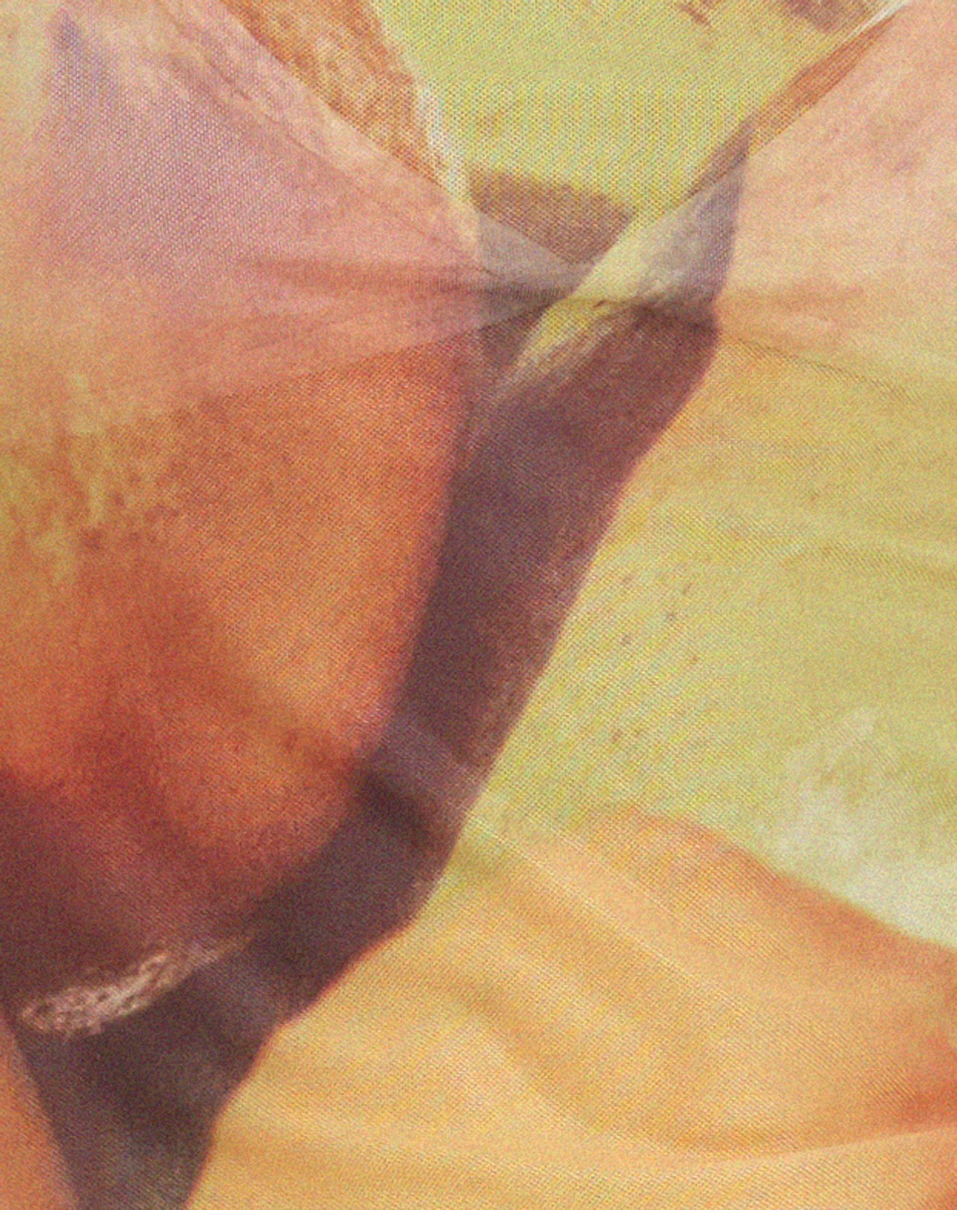 Vrista Top in Fruit Photoprint - Image 5