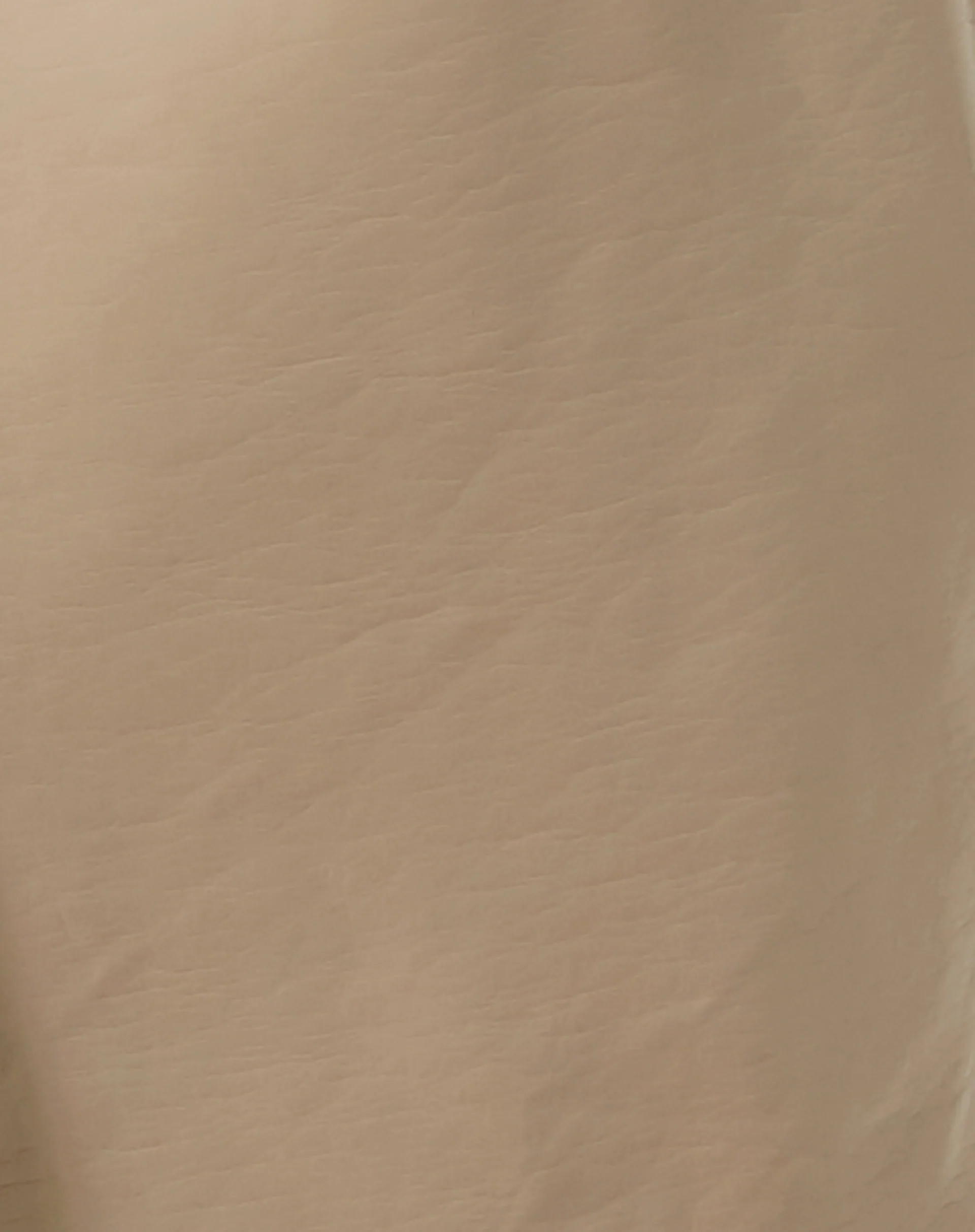 Walta Jacket in PU Putty - Image 5