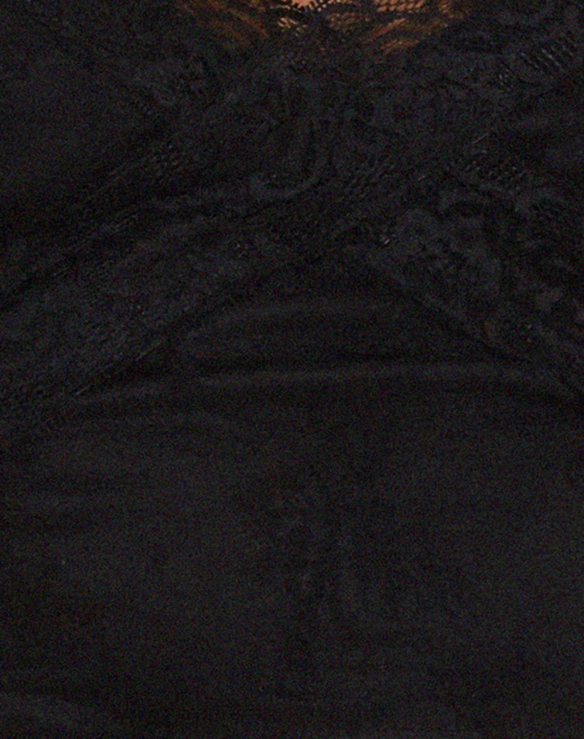 Yecaca Crop Top in Lace Black - Image 6