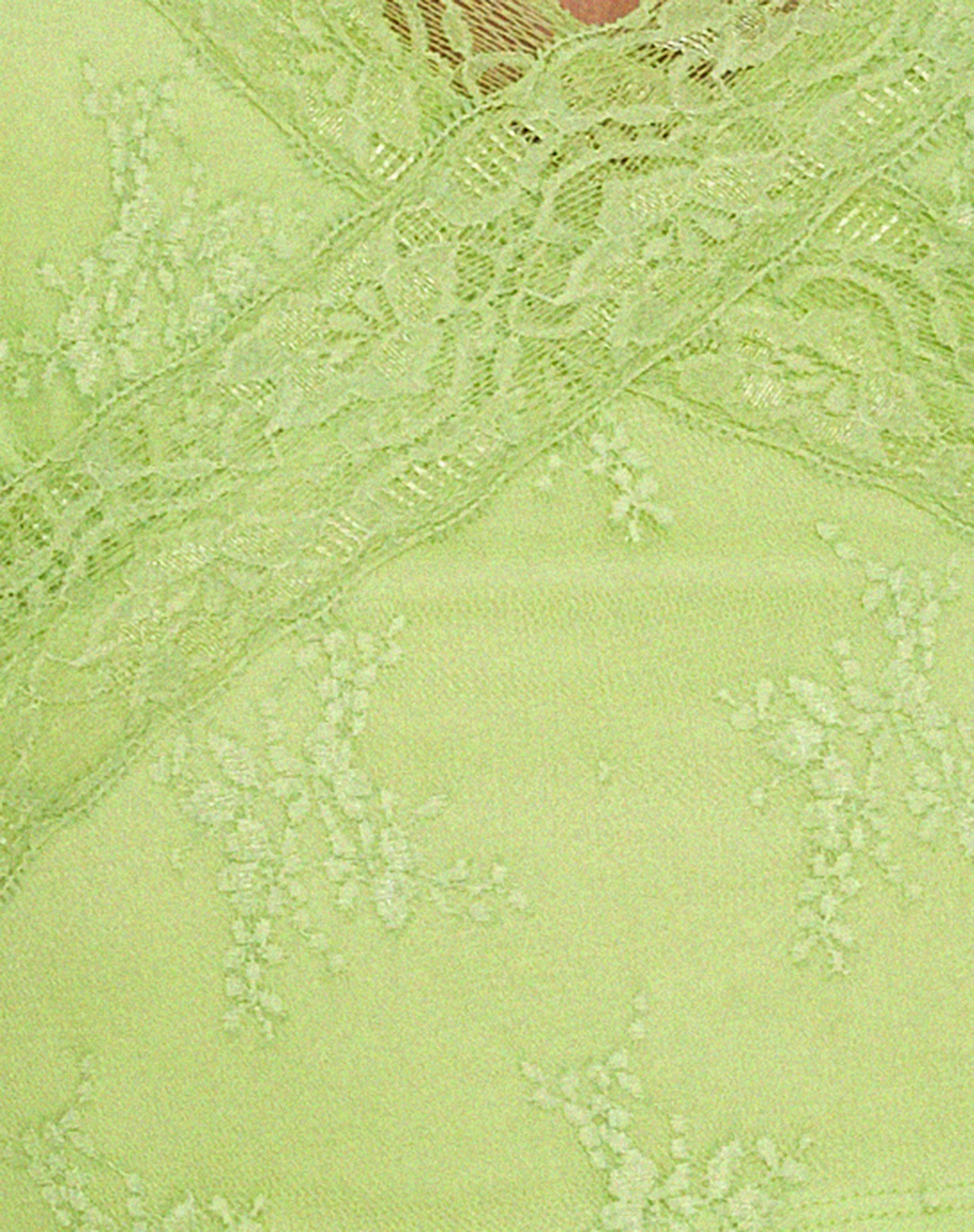 Yecaca Crop Top in Lace Lime - Image 5