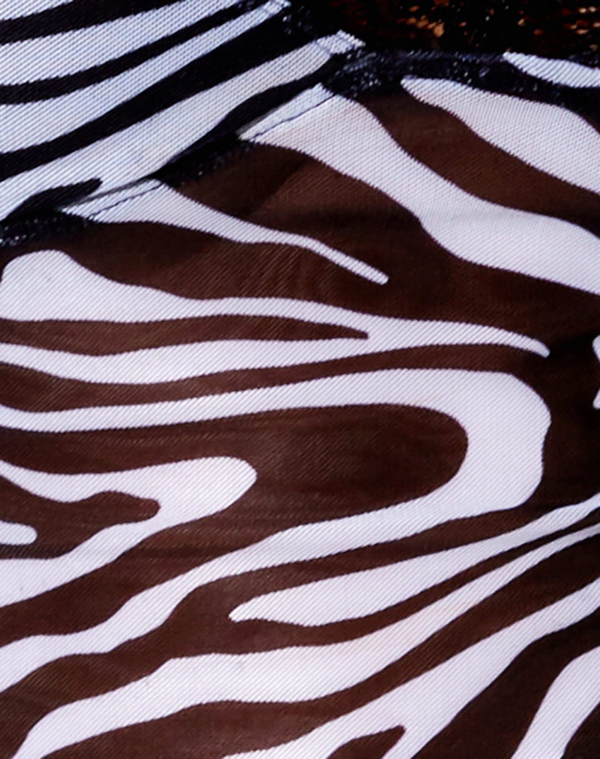 Yenika Crop Top in Wavey Zebra Black and White with Lace - Image 6