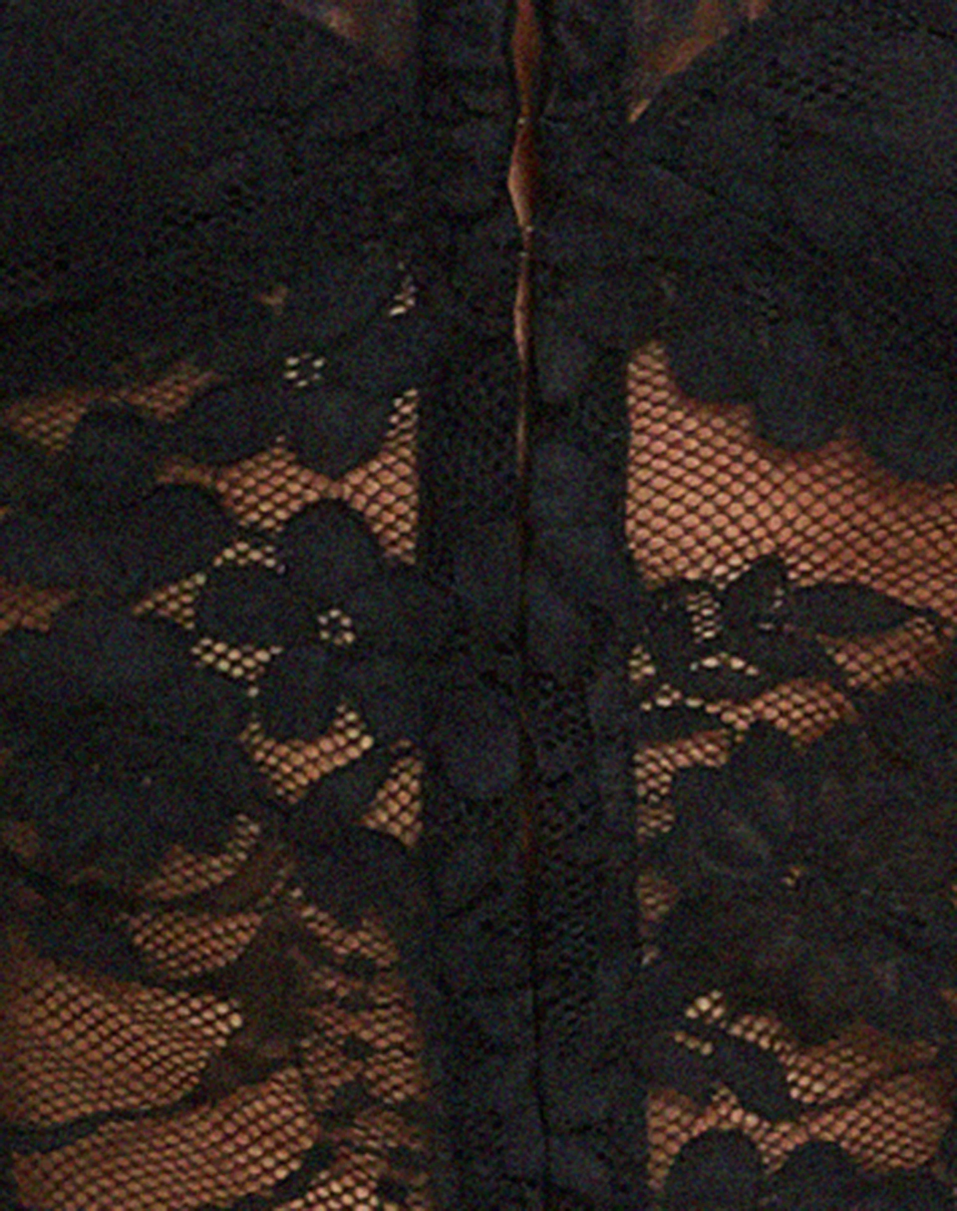 Yenko Crop Top in Lace Black - Image 5