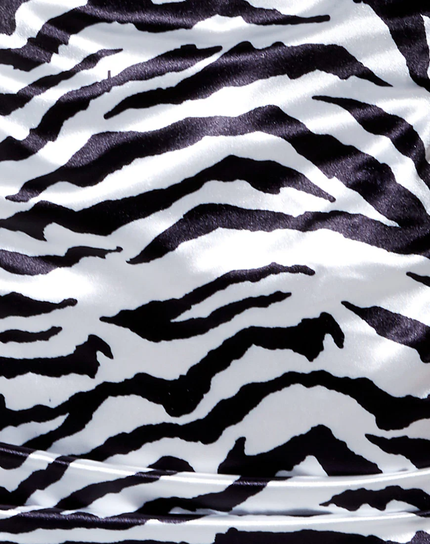 Zuelle Bodycon Dress in Horizontal Zebra Black and White - Image 5